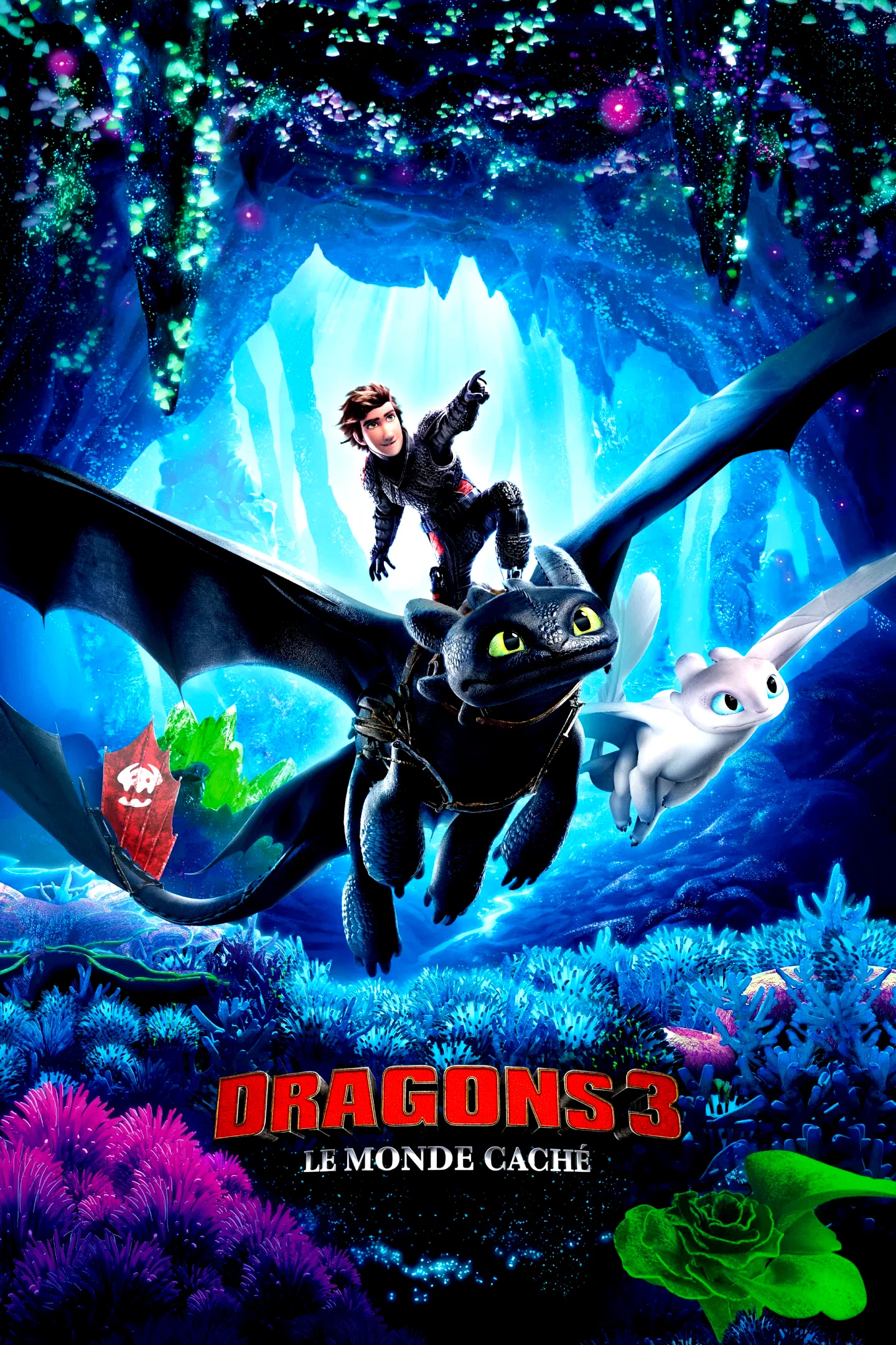 Affiche du film : Dragons 3 : Le monde caché