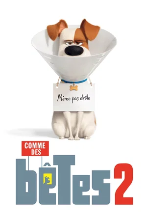 Photo du film : Comme des bêtes 2