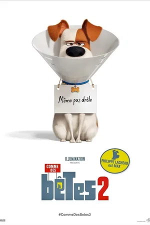 Photo du film : Comme des bêtes 2