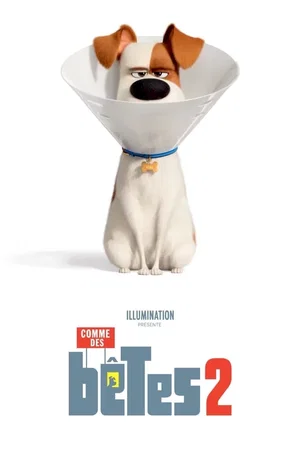 Photo du film : Comme des bêtes 2