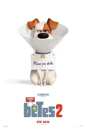 Photo du film : Comme des bêtes 2
