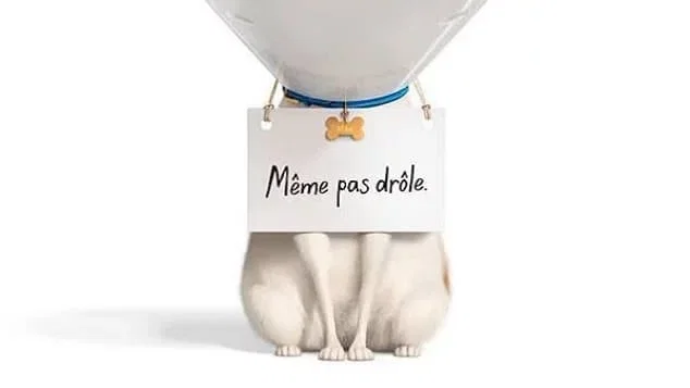 Affiche du film : Comme des bêtes 2