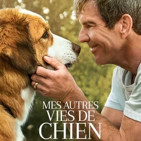 Photo du film : Mes autres vies de chien