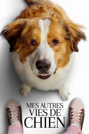 Photo 3 du film : Mes autres vies de chien