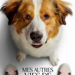 Photo du film : Mes autres vies de chien