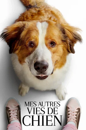 Photo 4 du film : Mes autres vies de chien