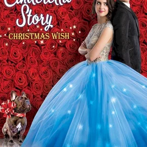 Photo du film : Comme Cendrillon 5 : Un conte de Noël