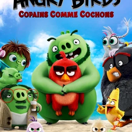 Miniature photo du film : Angry Birds, Copains comme cochons