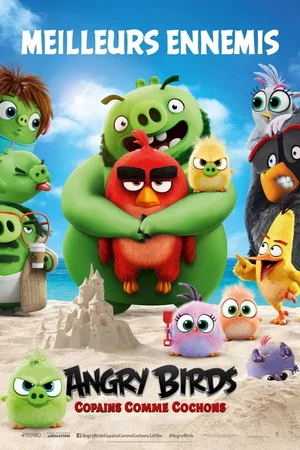 Photo du film : Angry Birds, Copains comme cochons