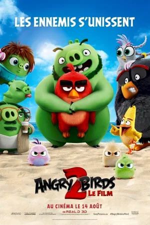 Photo du film : Angry Birds, Copains comme cochons
