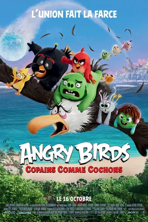 Photo du film : Angry Birds, Copains comme cochons