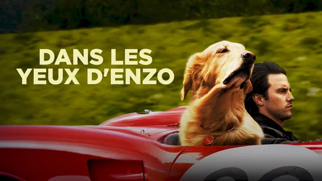 Photo du film : Dans les yeux d'Enzo