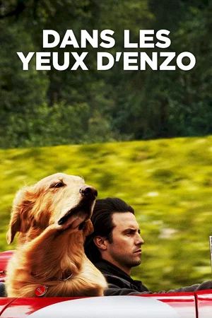 Photo du film : Dans les yeux d'Enzo