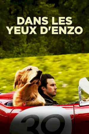 Photo du film : Dans les yeux d'Enzo