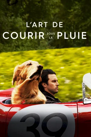 Photo du film : Dans les yeux d'Enzo