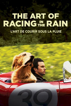 Photo du film : Dans les yeux d'Enzo