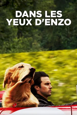 Photo du film : Dans les yeux d'Enzo
