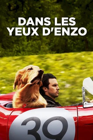 Photo du film : Dans les yeux d'Enzo