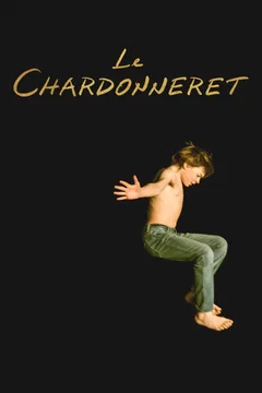 Affiche du film = Le Chardonneret