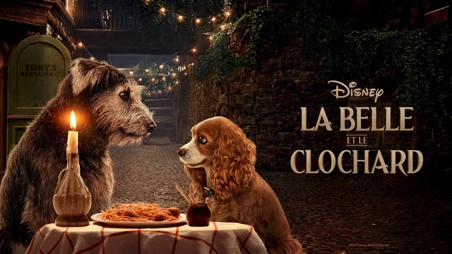 Affiche du film : La Belle et le Clochard