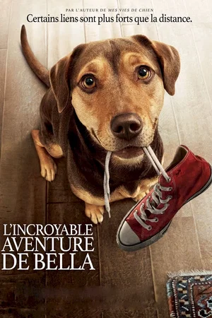 Photo du film : L'incroyable aventure de Bella