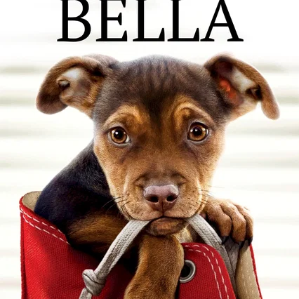 Miniature photo du film : L'incroyable aventure de Bella