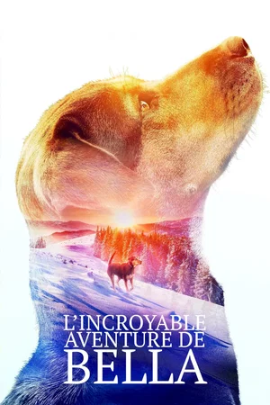 Photo du film : L'incroyable aventure de Bella