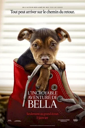 Photo du film : L'incroyable aventure de Bella