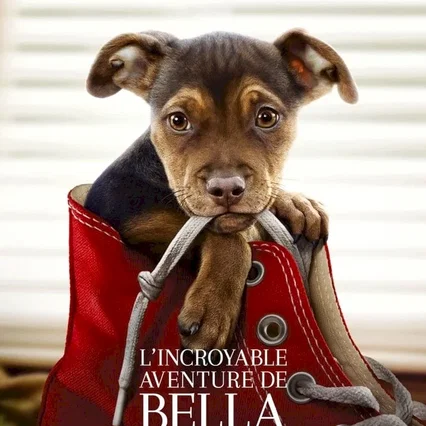 Miniature photo du film : L'incroyable aventure de Bella