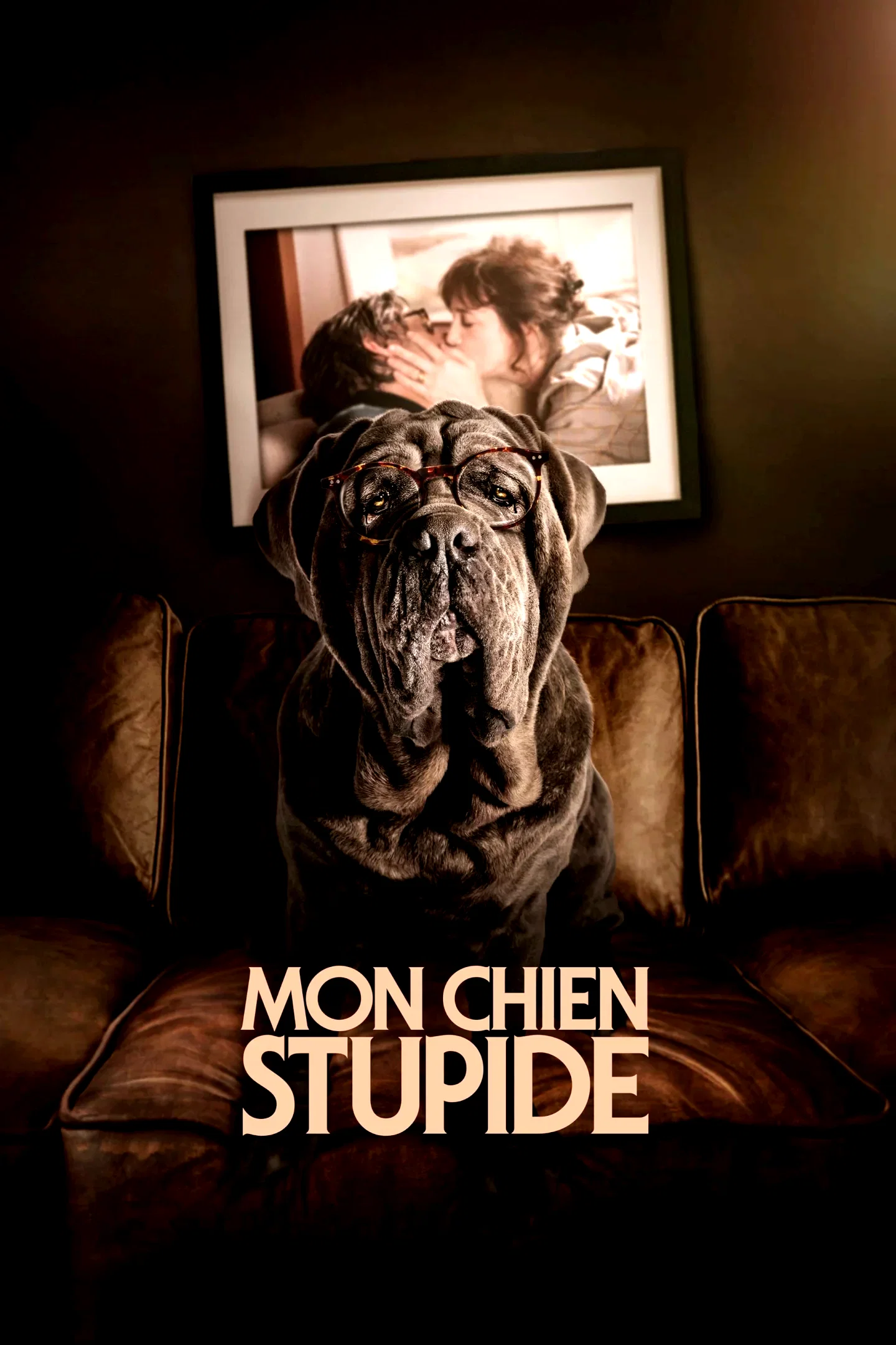 Affiche du film : Mon Chien Stupide