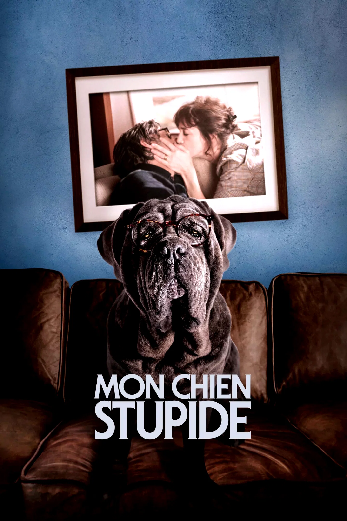 Photo 2 du film : Mon Chien Stupide
