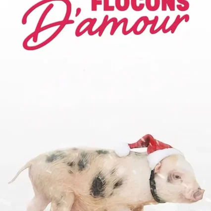 Miniature photo du film : Flocons d'amour
