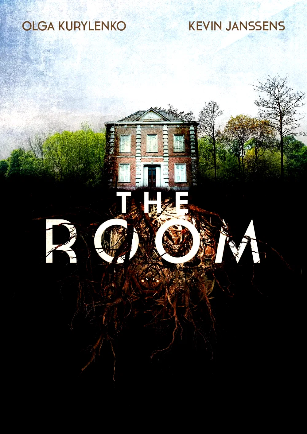 Affiche du film : The Room