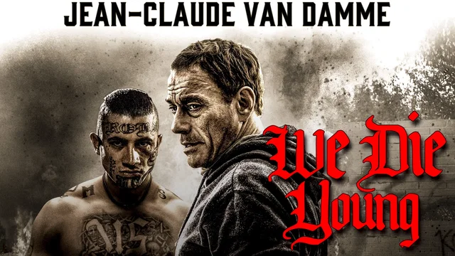 Affiche du film : Le Sang du Cartel