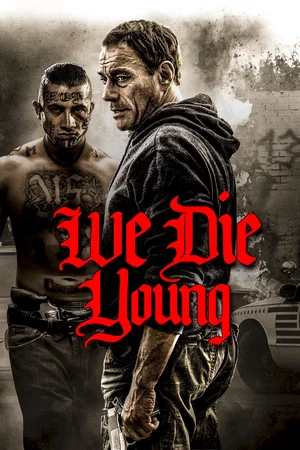 Affiche du film : Le Sang du Cartel