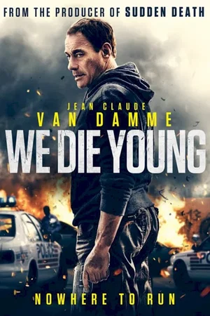 Photo du film : Le Sang du Cartel
