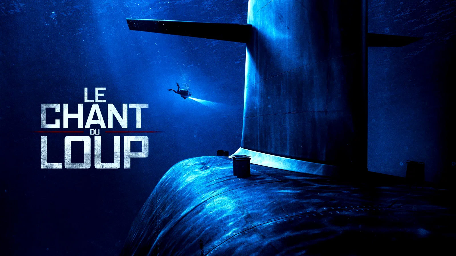 Photo 1 du film : Le Chant du loup