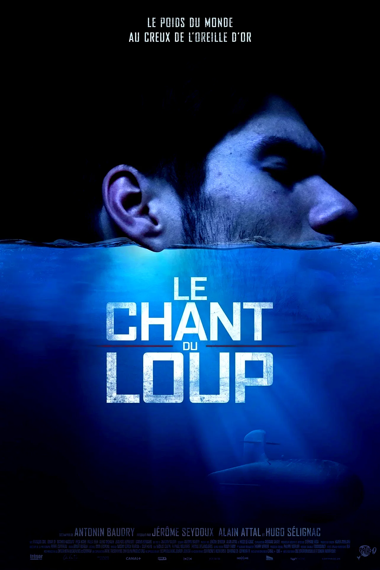 Photo 11 du film : Le Chant du loup