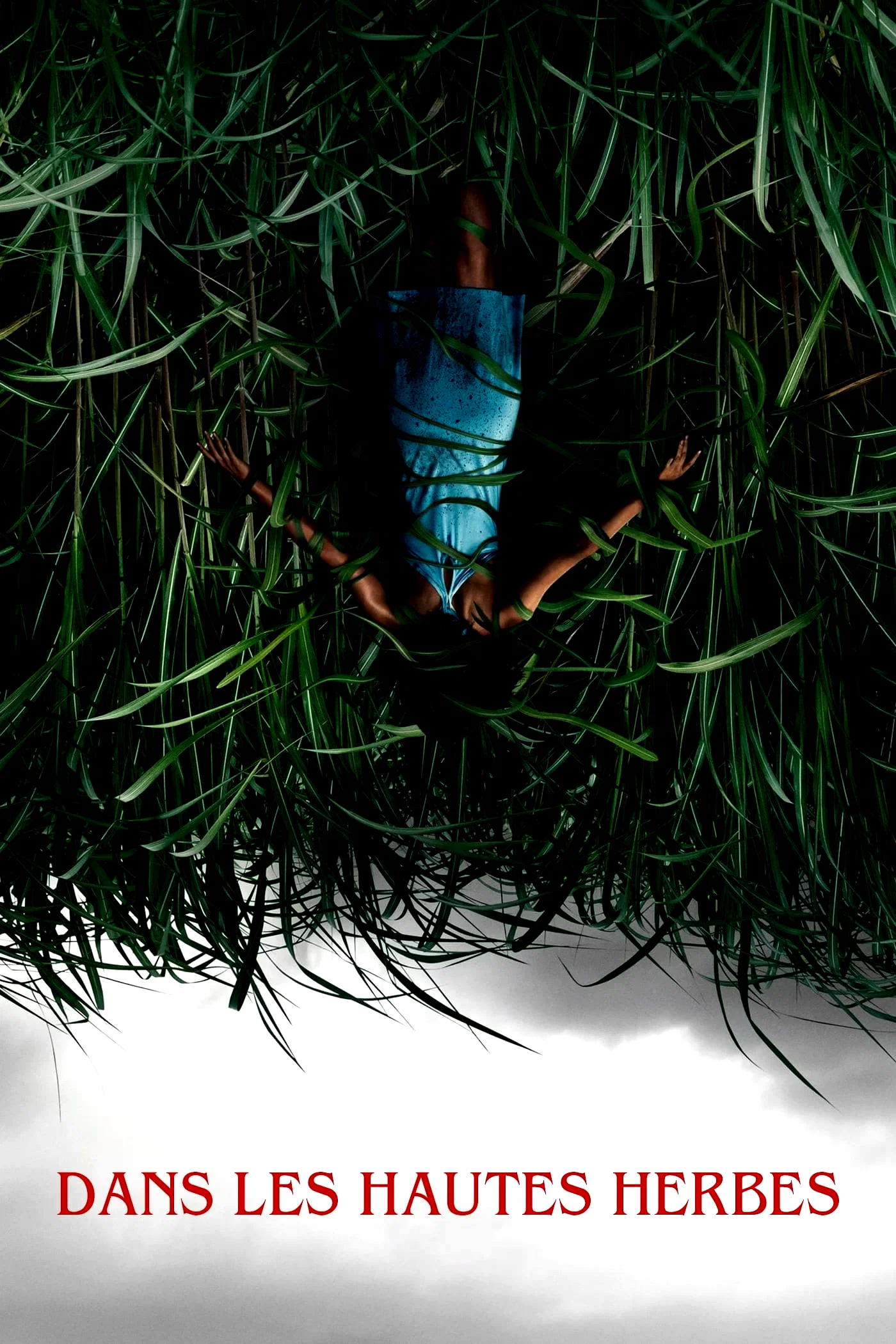 Affiche du film : Dans les hautes herbes