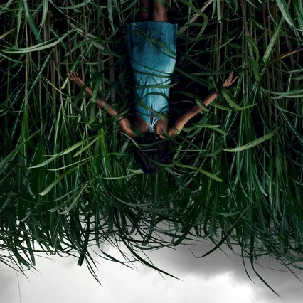 Miniature photo du film : Dans les hautes herbes