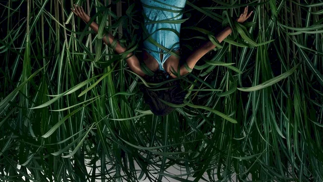 Affiche du film : Dans les hautes herbes
