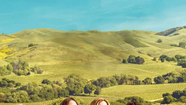 Affiche du film : Un week-end à Napa