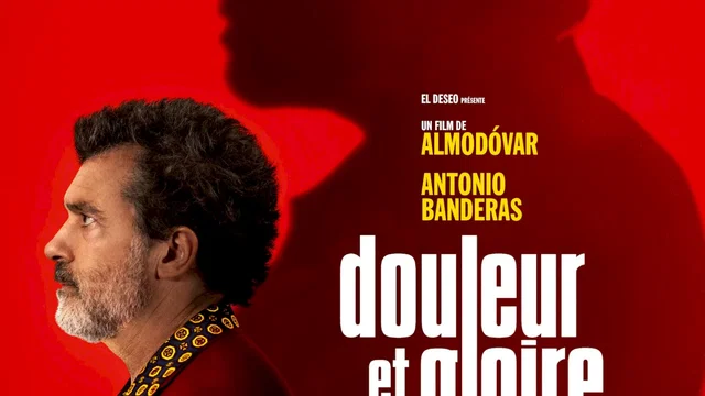 Affiche du film : Douleur et gloire
