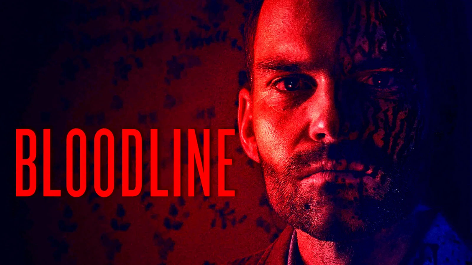 Photo 1 du film : Bloodline