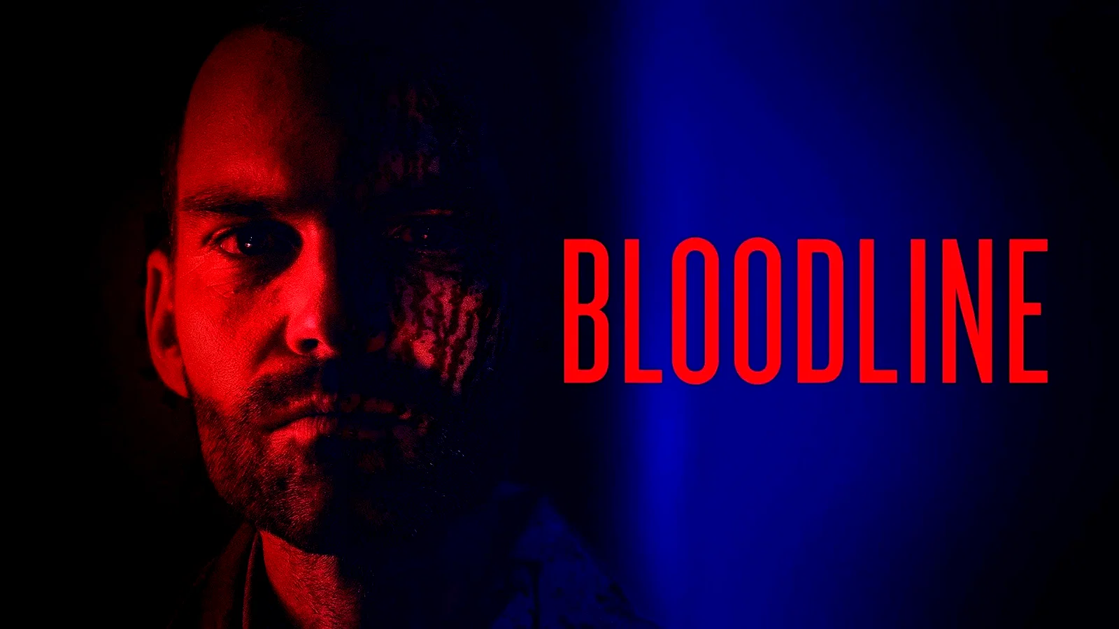 Photo 2 du film : Bloodline