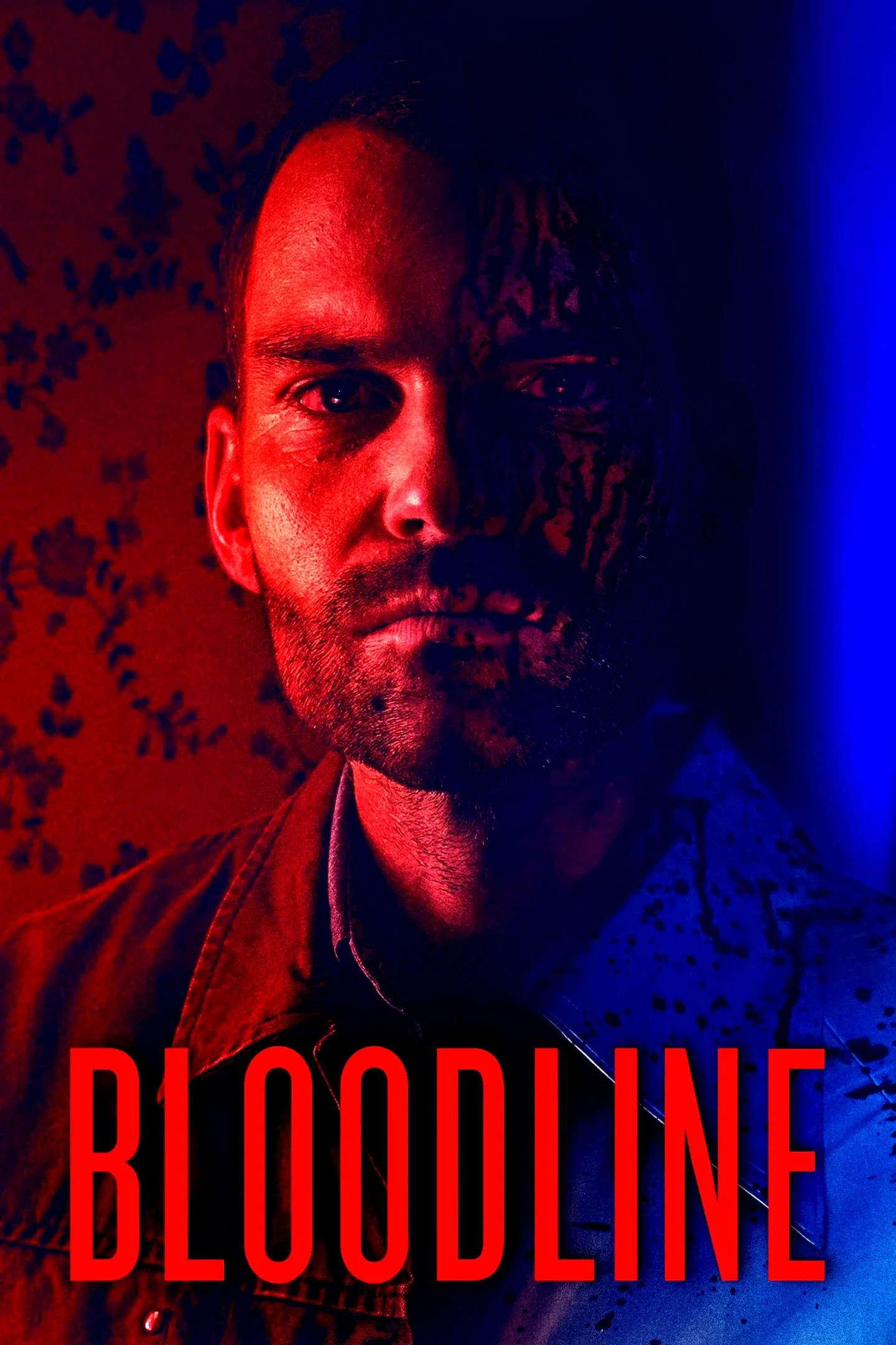 Affiche du film : Bloodline