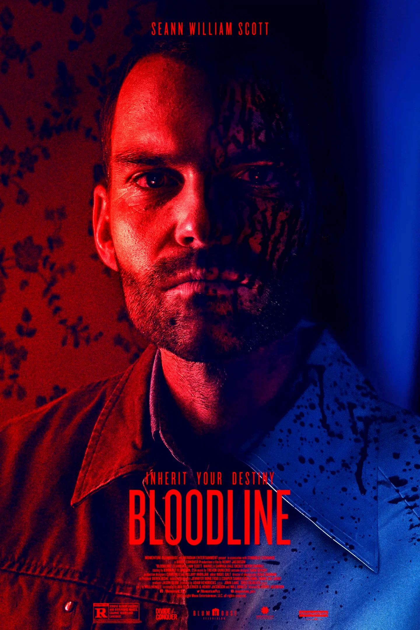 Photo 5 du film : Bloodline