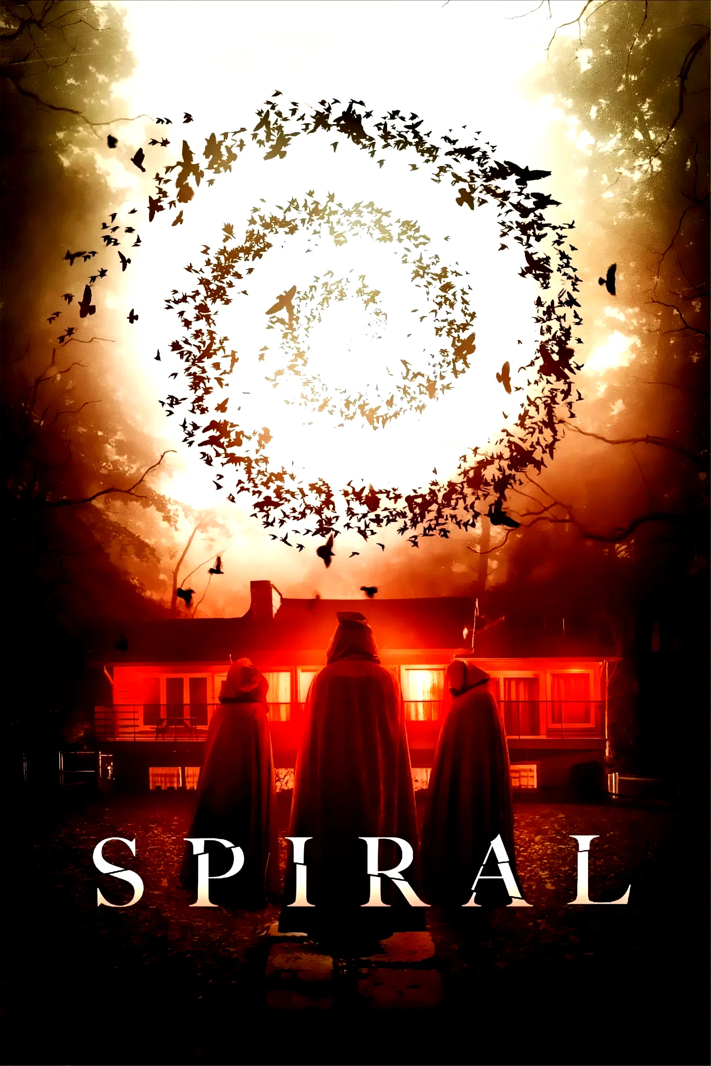 Affiche du film : Spiral