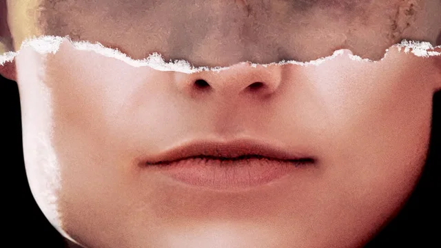 Affiche du film : Vigilante