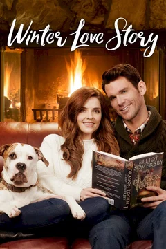 Affiche du film Notre histoire d'amour